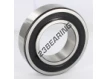 2213-E-2RS1-K-TN9-SKF