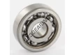 6200-SKF