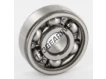 6301-C3-SKF