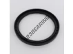ASP-130X160X12-NBR
