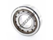 BC1-0314-SKF