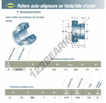 NU207 35x72x17mm nu budget seule ligne cylindrique Roulement à NU207 35x72x17mm nu budget seule ligne cylindrique Roulement à