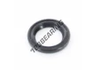 OA-21X31X3.50-4.50-NBR