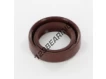 OAS-17X26X7-FPM