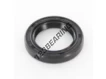 OAS-18X26X4.50-NBR