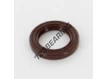 OAS-20X30X4.50-FPM