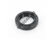 OAS-20X31X6-NBR