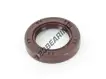 OAS-25X39X7-NBR