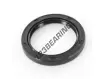 OAS-38.100X50.800X6.300-NBR