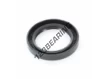 OAS-44.50X63.63X9.50-NBR