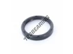 OAS-53X65X10-NBR