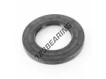 OAS-60X100X11-NBR