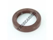 OAS-60X85X13-FPM