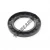 OAS-63X100X10-NBR