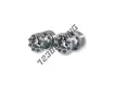 PP24-50