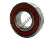 S-6004-2RS-FDA-PTI