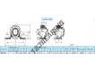 SAPP205